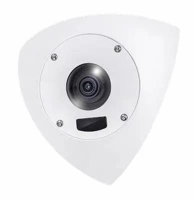 Indoor/Outdoor Corner 5MP Dome AI Camera; 10M IR; Mic; Anti-Ligature Design